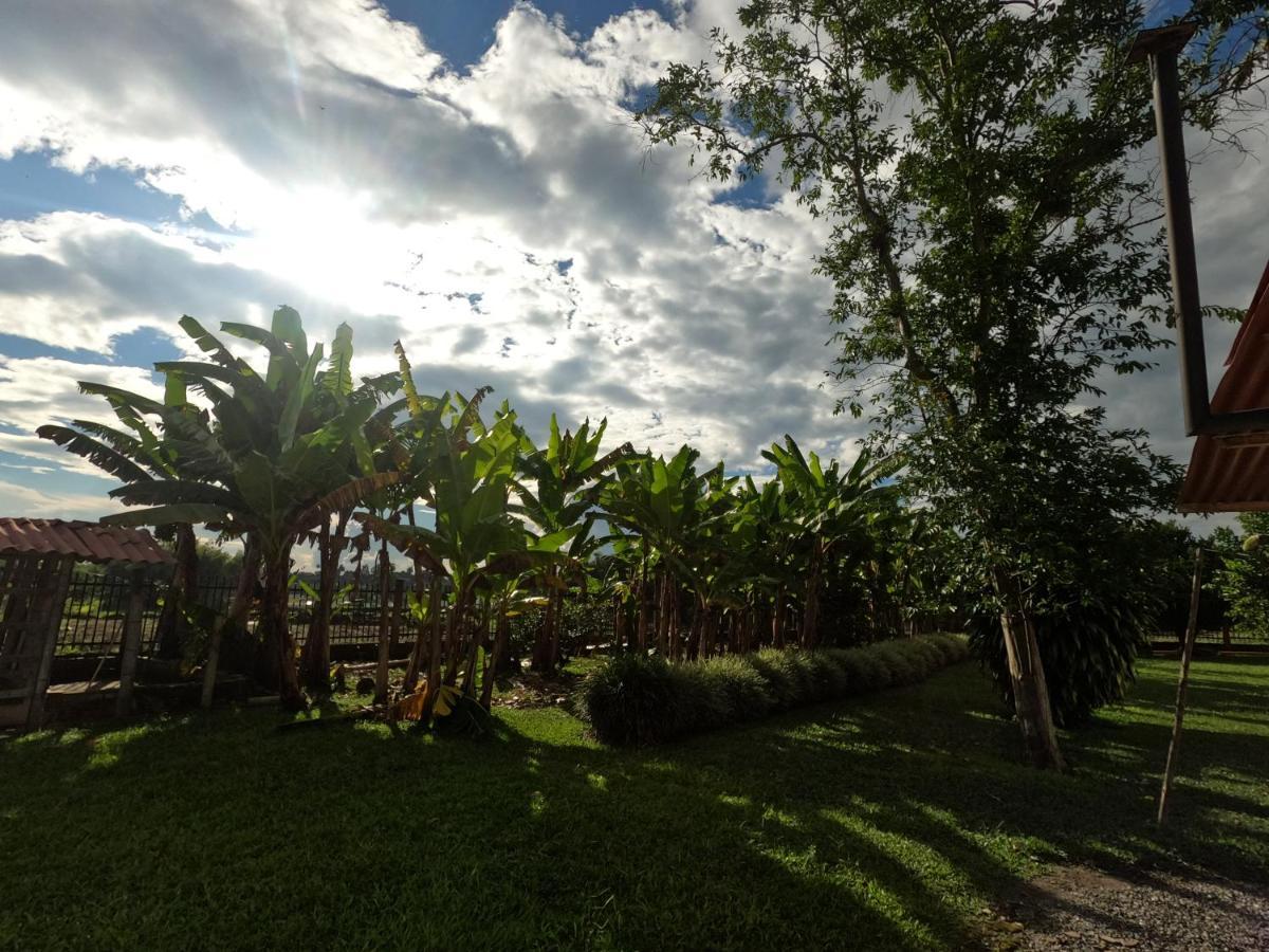 Finca Hotel Estrella Del Eden El Socorro ภายนอก รูปภาพ